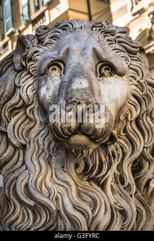 Löwenstatue der Kathedrale San Lorenzo, Duomo di Genua, Ligurien, Italien Stockfoto