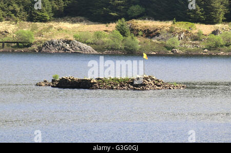 Original Insel Website von Loch Doon Castle, Loch Doon, East Ayrshire, Schottland, UK Stockfoto