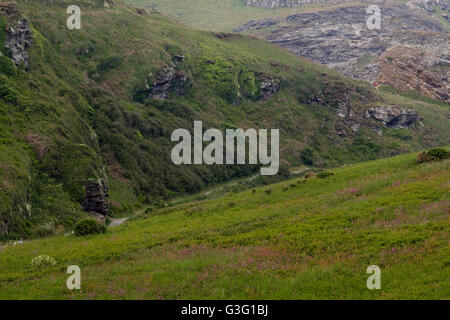 Straße nach Tintagel Castle, Cornwall, UK Stockfoto