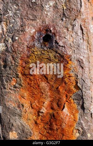 Alten verwitterte rostige Metall Oberfläche, Nahaufnahme Stockfoto