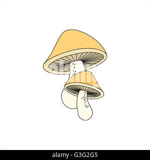 Stilvolle Pilze in Farbe Symbol oder Logo Vorlage Vektor-Illustration isoliert auf weißem Hintergrund. Stock Vektor