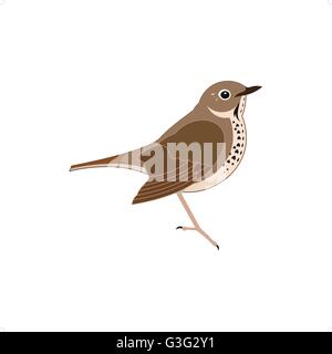Stilisierte braune Drossel Vogel-Vektor-Illustration isoliert auf weißem Hintergrund. Stock Vektor