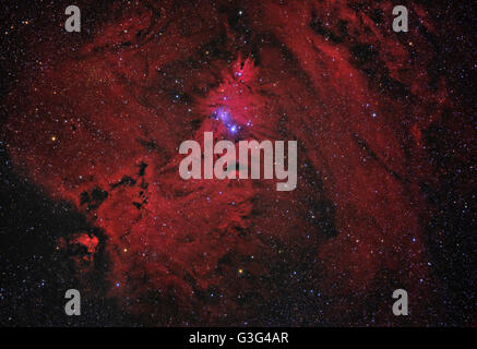 Kegel-Nebel und Weihnachtsbaum Cluster im Sternbild Monoceros Stockfoto