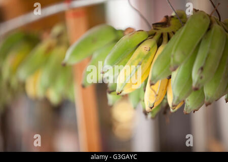 Szene in Chinatown, Honolulu, Oahu, Hawaii Stockfoto