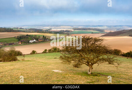 Eine englische Landschaft malerische; ein einsamer Baum mit Blick auf eine Hütte und Oast House in den North Kent Downs. Stockfoto