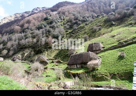 Braña der Pornacal ist die größte und am besten von Brañas Somiedo, erhalten wo Traditionen appellate Vaqueiros in einer Umgebung von unvergleichlicher Schönheit überleben. Von 32 Teitos oder Hütten, gruppiert in der Nachbarschaft von La Prida, El Mediu, El Ríu und El Cabu gebildet, auf dem rechten Ufer der Geburt des Pigüeña Flusses, dominieren Wiesen der Requexada liegt. Die Teitos haben einen Block von Stein rechteckig, Satteldach mit gebogenen Fliesen und Steinmauern hinzugefügt. Wie üblich, hat die Teito seinen Zweigen bedeckt mit trockenen Besen; der Innenraum gliedert sich zwischen das Cockpit für Mensch und Tier in einem sm Stockfoto