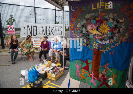 Burghfield, UK. 11. Juni 2016. Frieden Aktivisten blockieren den Eingang der Lieferungen von AWE Burghfield für einen fünften Mal in Folge Tag als Teil eines Monats gegen Trident Erneuerung bestimmt "zu blockieren, zu besetzen und zu stören" montiert die Fabrik verantwortlich für die Endmontage der Trident Atomsprengköpfe. Bildnachweis: Mark Kerrison/Alamy Live-Nachrichten Stockfoto