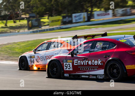 Melbourne, Australien. 12. Juni 2016. Australische GT Trophy Fahrer, Morgan Haber in Rennen 1 den Shannnon Staatsangehörigen auf der 12. Juni 2016 in Winton. Bildnachweis: Dave Hewison Sport/Alamy Live-Nachrichten Stockfoto