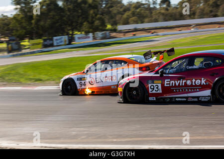 Melbourne, Australien. 12. Juni 2016. Australische GT Trophy Fahrer, Morgan Haber in Rennen 1 den Shannnon Staatsangehörigen auf der 12. Juni 2016 in Winton. Bildnachweis: Dave Hewison Sport/Alamy Live-Nachrichten Stockfoto