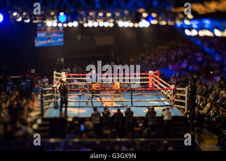 New York, USA. 11. Juni 2016. Zou Shiming China kämpft mit Jozef Ajtai Ungarn bei einem Boxkampf von WBO im Fliegengewicht Titel in New York, Vereinigte Staaten, 11. Juni 2016. Zou gewann den Kampf. © Li Muzi/Xinhua/Alamy Live-Nachrichten Stockfoto