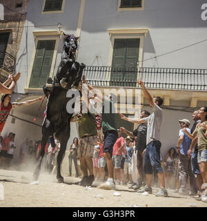 Ciutadella De Menorca, Balearen, Spanien. 24. Juni 2016. Zuschauer versuchen, das Pferd Brust als Glücksbringer zu berühren, wie ein "Caixer" (Reiter), während der Morgen-Festlichkeiten auf "Sant Joan" (Saint John Day) in Ciutadella de Menorca bäumt © Matthias Oesterle/ZUMA Draht/Alamy Live News Stockfoto