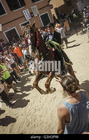 Ciutadella De Menorca, Balearen, Spanien. 24. Juni 2016. Zuschauer versuchen, das Pferd Brust als Glücksbringer zu berühren, wie ein "Caixer" (Reiter), während der Morgen-Festlichkeiten auf "Sant Joan" (Saint John Day) in Ciutadella de Menorca bäumt © Matthias Oesterle/ZUMA Draht/Alamy Live News Stockfoto