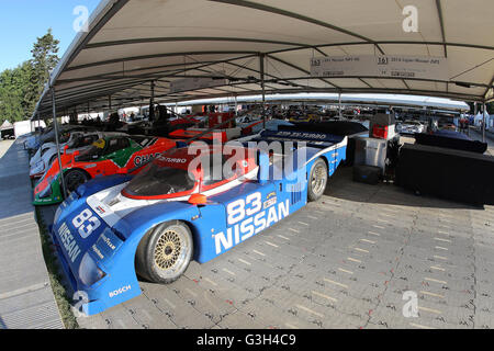 Goodwood, West Sussex, UK. 25. Juni 2016. Goodwood Festival of Speed 2016. Fahrerlager, Goodwood, West Sussex, UK Credit: Malcolm Greig/Alamy Live-Nachrichten Stockfoto