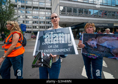 Hunderte von Menschen marschierte Trog Central London zur chinesischen Botschaft protestieren gegen grausame Fleisch-Festival in Yulin, Provinz Guangxi in China während der Sommersonnenwende im Juni. Das Festival dauert rund 10 Tage in denen es schätzungsweise 10.000 ist. 24. Juni 2016. 15.000 Hunde getötet und verbraucht viele von ihnen gestohlen werden Haustiere und verirrt. © Velar Grant/ZUMA Draht/Alamy Live-Nachrichten Stockfoto
