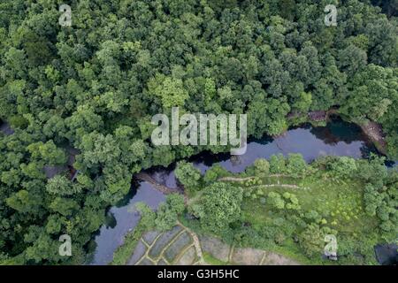 Guiyang. 25. Juni 2016. Eine Luftaufnahme, aufgenommen am 25. Juni 2016 zeigt Ahahu national Wetland Park in Guiyang, Hauptstadt der Südwesten Chinas Provinz Guizhou. Der Wald Abdeckungsgrad von Guiyang hatte fünfundvierzig Prozent im Jahr 2015 erreicht. Die 2016 Eco Forum Global in Guiyang am 8. Juli dieses Jahres startet. © Ou Dongqu/Xinhua/Alamy Live-Nachrichten Stockfoto