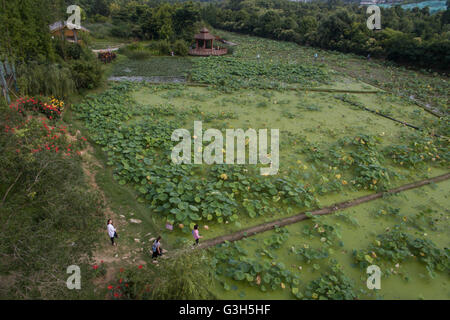 Guiyang. 25. Juni 2016. Eine Luftaufnahme, aufgenommen am 25. Juni 2016 zeigt Shilihe national Wetland Park in Guiyang, Hauptstadt der Südwesten Chinas Provinz Guizhou. Der Wald Abdeckungsgrad von Guiyang erreichte 45 % in 2015, 2016 Eco Forum Global in Guiyang am 8. Juli dieses Jahres beginnt. © Ou Dongqu/Xinhua/Alamy Live-Nachrichten Stockfoto