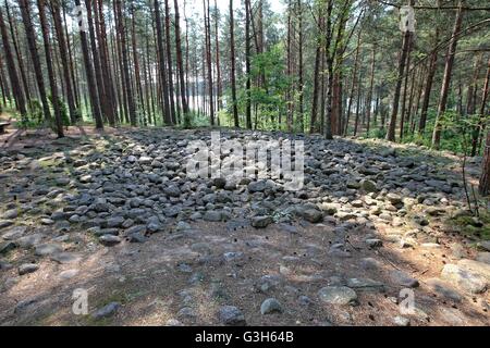 Wesiory, Polen 25. Juni 2016 sehr warmen und sonnigen Wetter in Polen. Temperatur erreicht 35 c Grad.  Menschen besucht die Wesiory megalithische Steinkreise, im Schatten der Bäume zu verbergen. Wesiory megalithische Steinkreise und Grabstätten sind tief im Wald verstecken. Dieser Ort wurde von den Goten wahrscheinlich im 1. bis 3. Jahrhundert erstellt. Es gibt drei Steinkreise und Teil des vierten und 20 Schubkarren. Der Durchmesser des größten Kreises ist ist 26 Meter und mit Steinen mit einer Höhe von ca. 1,5 m. In der Mitte gibt es einige steinerne Stelen Credit: Michal Fludra/Alamy Live News Stockfoto