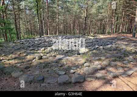 Wesiory, Polen 25. Juni 2016 sehr warmen und sonnigen Wetter in Polen. Temperatur erreicht 35 c Grad.  Menschen besucht die Wesiory megalithische Steinkreise, im Schatten der Bäume zu verbergen. Wesiory megalithische Steinkreise und Grabstätten sind tief im Wald verstecken. Dieser Ort wurde von den Goten wahrscheinlich im 1. bis 3. Jahrhundert erstellt. Es gibt drei Steinkreise und Teil des vierten und 20 Schubkarren. Der Durchmesser des größten Kreises ist ist 26 Meter und mit Steinen mit einer Höhe von ca. 1,5 m. In der Mitte gibt es einige steinerne Stelen Credit: Michal Fludra/Alamy Live News Stockfoto