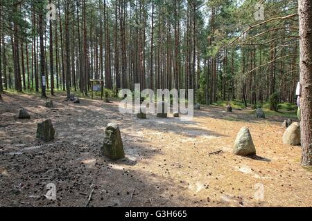 Wesiory, Polen 25. Juni 2016 sehr warmen und sonnigen Wetter in Polen. Temperatur erreicht 35 c Grad.  Menschen besucht die Wesiory megalithische Steinkreise, im Schatten der Bäume zu verbergen. Wesiory megalithische Steinkreise und Grabstätten sind tief im Wald verstecken. Dieser Ort wurde von den Goten wahrscheinlich im 1. bis 3. Jahrhundert erstellt. Es gibt drei Steinkreise und Teil des vierten und 20 Schubkarren. Der Durchmesser des größten Kreises ist ist 26 Meter und mit Steinen mit einer Höhe von ca. 1,5 m. In der Mitte gibt es einige steinerne Stelen Credit: Michal Fludra/Alamy Live News Stockfoto