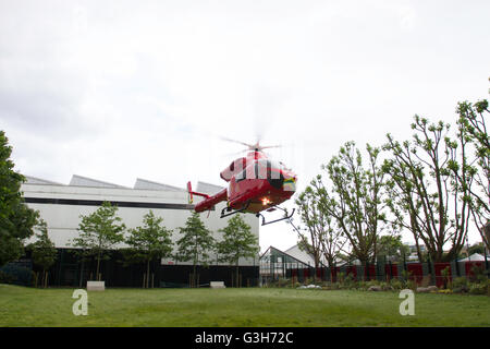 London, England. 25. Juni 2016. London, England. 25. Juni 2016. London Luft-Krankenwagen landet außerhalb Globus Akademie. Brayan A Lopez Garzon/Alamy Live-Nachrichten Stockfoto