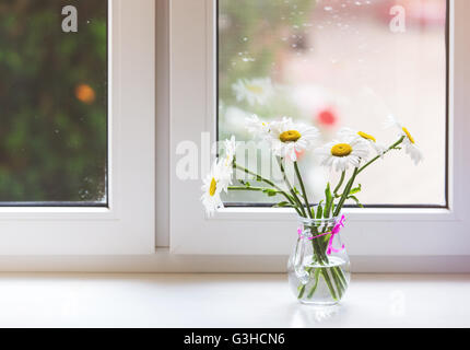 Blumenstrauß auf der Fensterbank Kamillen Stockfoto