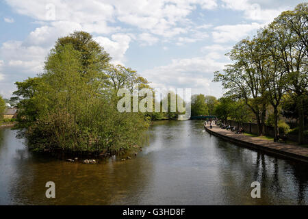 Malerischer Blick auf den Fluss Wye, der durch Bakewell, Derbyshire England, Großbritannien, Flusslandschaft im Peak District Nationalpark Bäume fließt Stockfoto