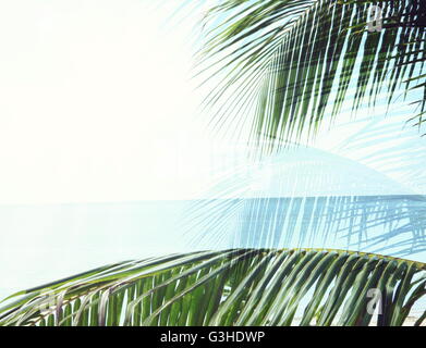 Palm Leaf Sommer Hintergrund endlosen Ozean Foto 3d illustration Stockfoto