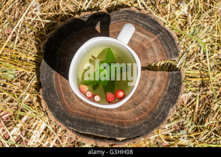 Tee mit Minze und wilde Erdbeeren in eine weiße Tasse auf dem Heu Stockfoto