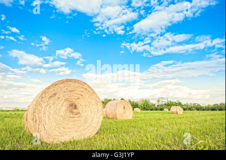 Großen Heuballen rollt in einem grünen Feld mit blauem Himmel und Wolken Stockfoto