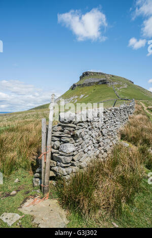 Pen-y-Gent Berg im Sommer Stockfoto