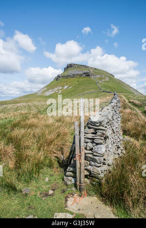 Pen-y-Gent Berg im Sommer Stockfoto