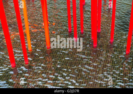 Virginia Museum of Fine Arts Richmond Stockfoto