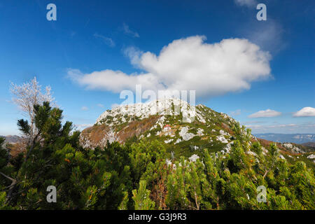 Höhepunkt des Risnjak Mountain mit Wolke oben Stockfoto