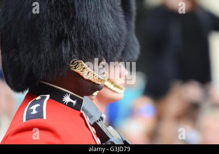 Walisische Garde Soldaten bei Trooping the Colour 2016. Schwarz-weiß-kaukasisch Stockfoto