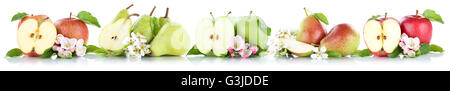 Apfel und Birne Sammlung Äpfel Birnen Frucht Früchte in einer Reihe auf einem weißen Hintergrund isoliert Stockfoto