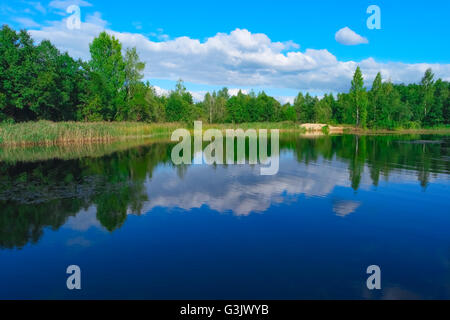 Sommerlandschaft mit Wald See und blau bewölktem Himmel Stockfoto