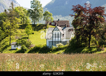 Norddal, goldene unterwegs Ålesund, Ørskog, Vestre, Stordal, Linge, Valldal, Tafjord, Eidsdal, Eide, Geiranger, Sunnmøre, Norwegen Stockfoto