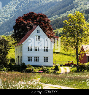 Melchiorgarden. Altes Bauernhaus, norddal am Golden Route Ålesund Ørskog, Stordal, Linge, Valldal, Tafjord, Eidsdal, Geiranger, Sunnmøre, Norwegen Stockfoto