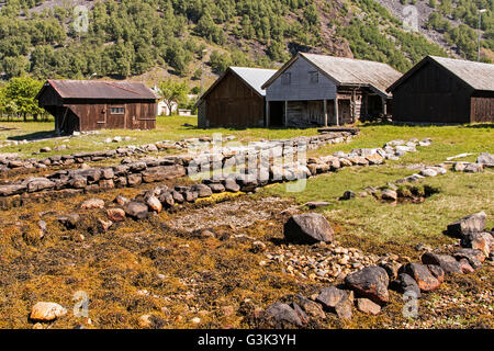 Reihe von Bootshäusern, Norddal auf golden Route Ålesund, Ørskog, Vestre, Stordal, Eidsdal, Eide, Geiranger, Sunnmøre, Norwegen Stockfoto