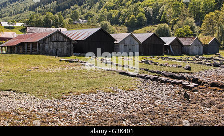 Reihe von Bootshäusern, Norddal auf golden Route Ålesund, Ørskog, Vestre, Stordal, Eidsdal, Geiranger, Sunnmøre, Norwegen Stockfoto