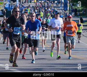 Massen von Läufer und Walker teilnehmen in 2016 Bolder Boulder 10K. Mehr als 50.000 beteiligen sich jedes Jahr. Stockfoto