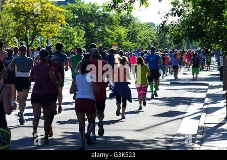 Läufer und Walker teilnehmen in 2016 Bolder Boulder 10K. Mehr als 50.000 teilnehmen. Stockfoto