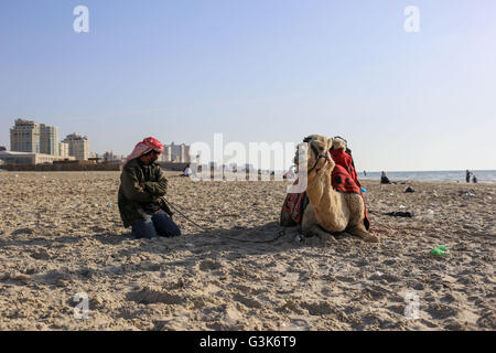 Gaza, Palästina. 5. April 2016. Ein palästinensischer Mann sitzt mit seinem Kamel in der Nähe von Gaza Hafenstadt im Westen von Gaza-Stadt. © Mohammed Al Hajjar/RoverImages/Pazifik Presse/Alamy Live-Nachrichten Stockfoto