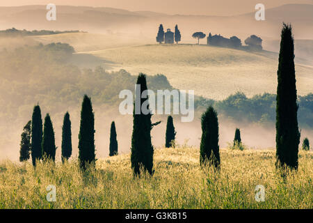 Die Cappella della Madonna di Vitaleta, im Herzen der Toskana, in der Nähe von Pienza in Val d ' Orcia, Italien Stockfoto