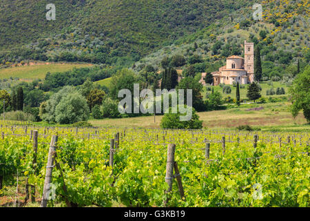 Die Abtei von Sant'Antimo ist ein ehemaliges Benediktinerkloster in der Gemeinde von Montalcino, Toskana, Mittelitalien Stockfoto