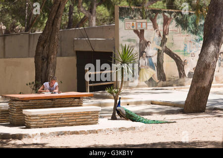 Guardamar del Segura, Alicante, Spanien. 31. Mai 2016: Mädchen lesen in einem Park Spanisch mit einem Pfau neben ihr. Stockfoto