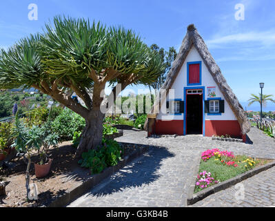 Traditionelle palheiros - strohgedeckten dreieckigen Häuser in Santana Madeira Stockfoto