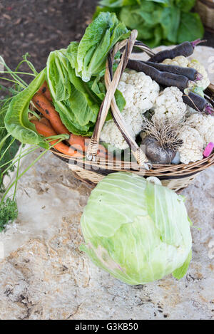 Korb voll mit Obst und Gemüse bei Bethlehem in Galiläa Stockfoto
