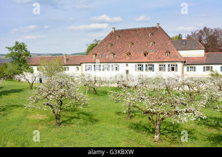 Schloss Heinsheim, Deutschland, Baden-Württemberg, Heilbronner Land, Bad Rappenau Stockfoto