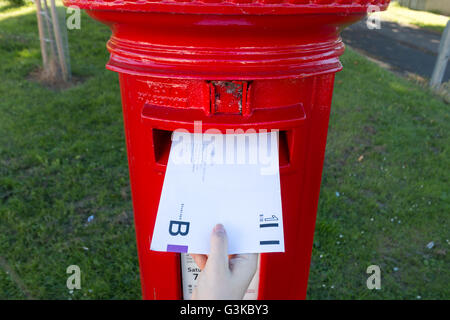 UK Briefwahl in einen Briefkasten. Stockfoto